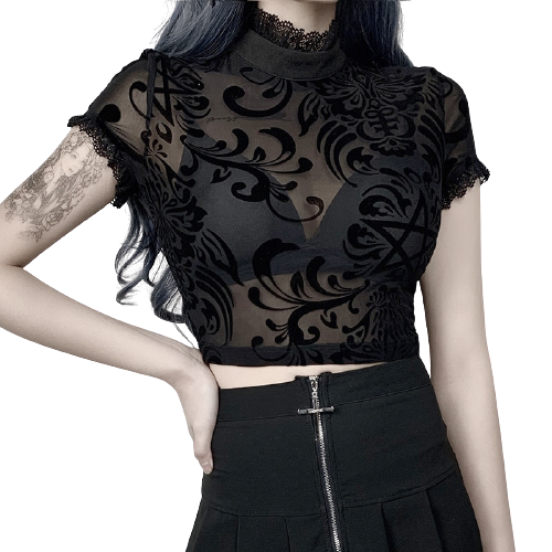 Top Dentelle Manche Courte Femme