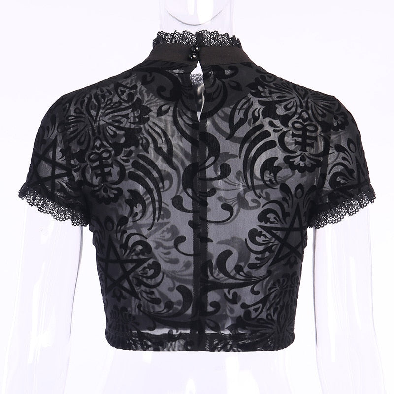 Top Dentelle Manches Courtes